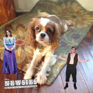 Newsies Dog Sitting Newsies Photo Booth 5