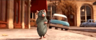 Ratoutille Ride Disneyland Paris GIF Ratoutille Ride Disneyland Paris GIF