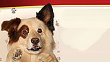 Help Stan escape his dream and find his way home!